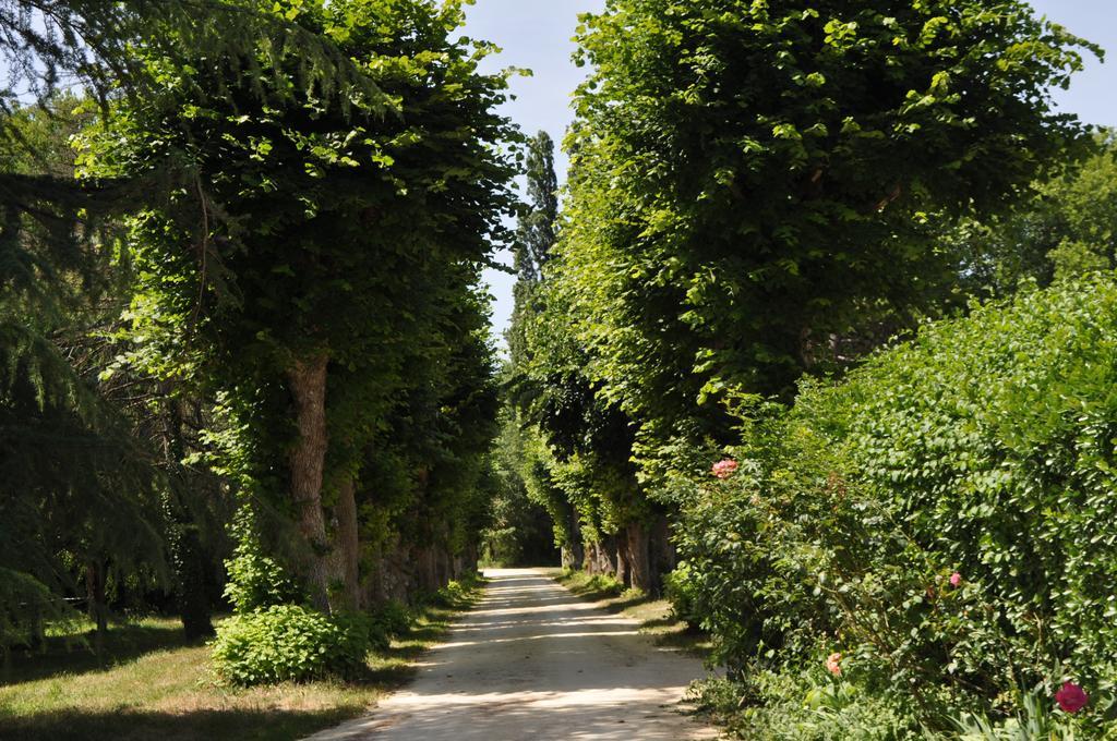Bed and Breakfast Les Longchamps Neuillé Zewnętrze zdjęcie